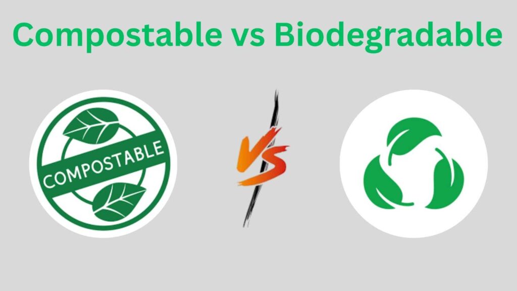 compostable vs biodegradable