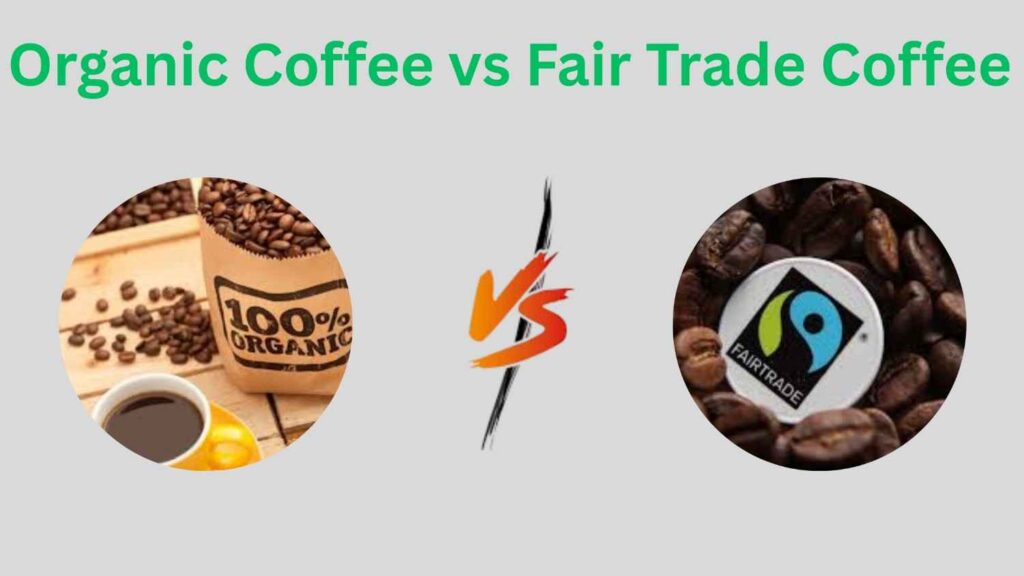 Organic Coffee vs Fair Trade Coffee